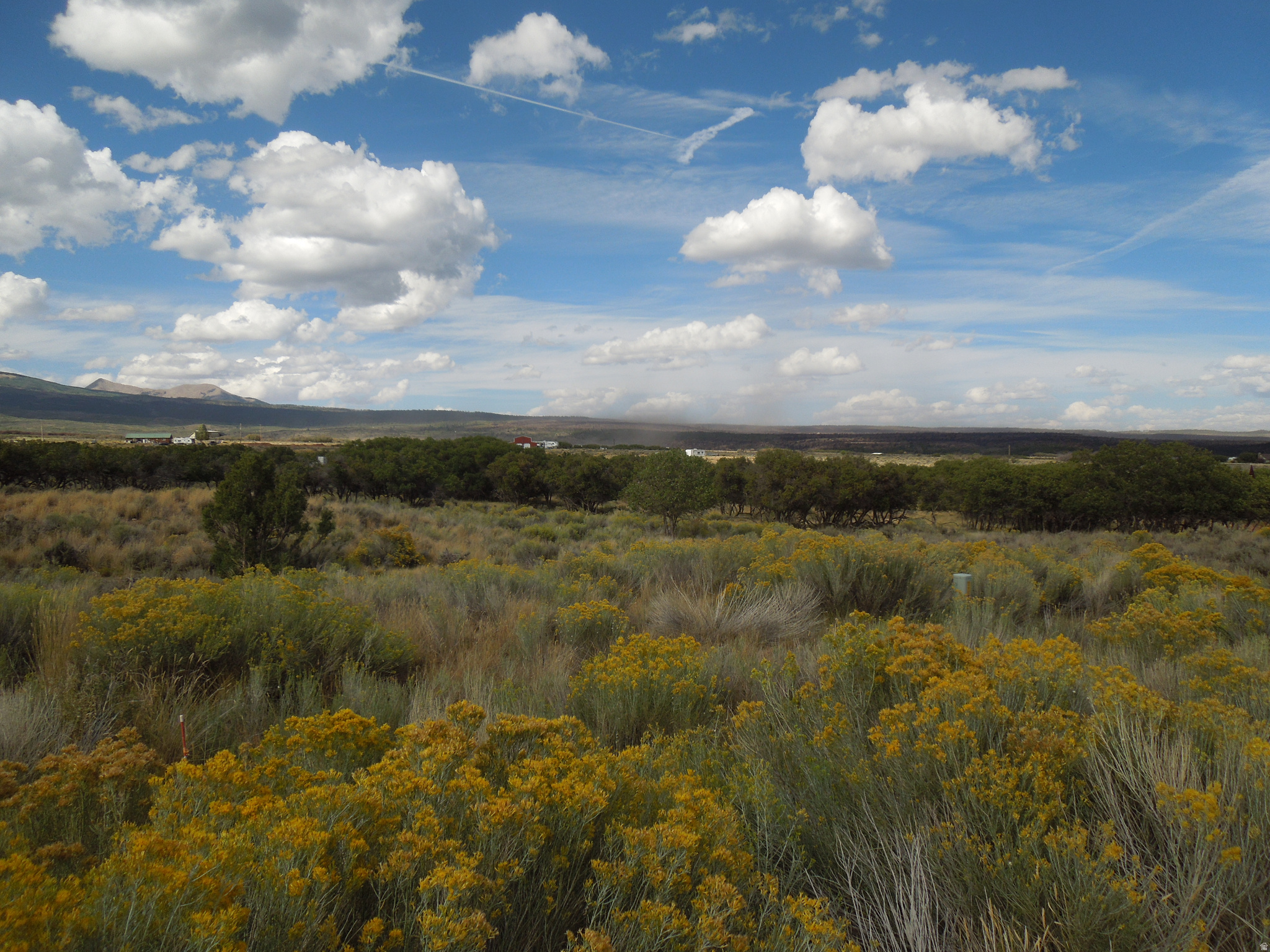 SPRING DRAW SUBDIVISION PHASE 2 - Land