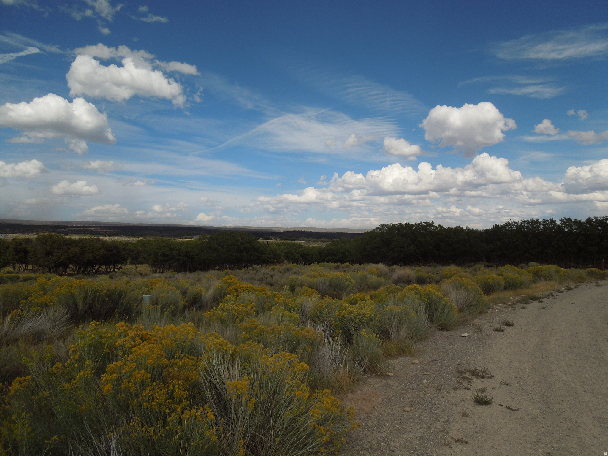 SPRING DRAW SUBDIVISION PHASE 2 - Land