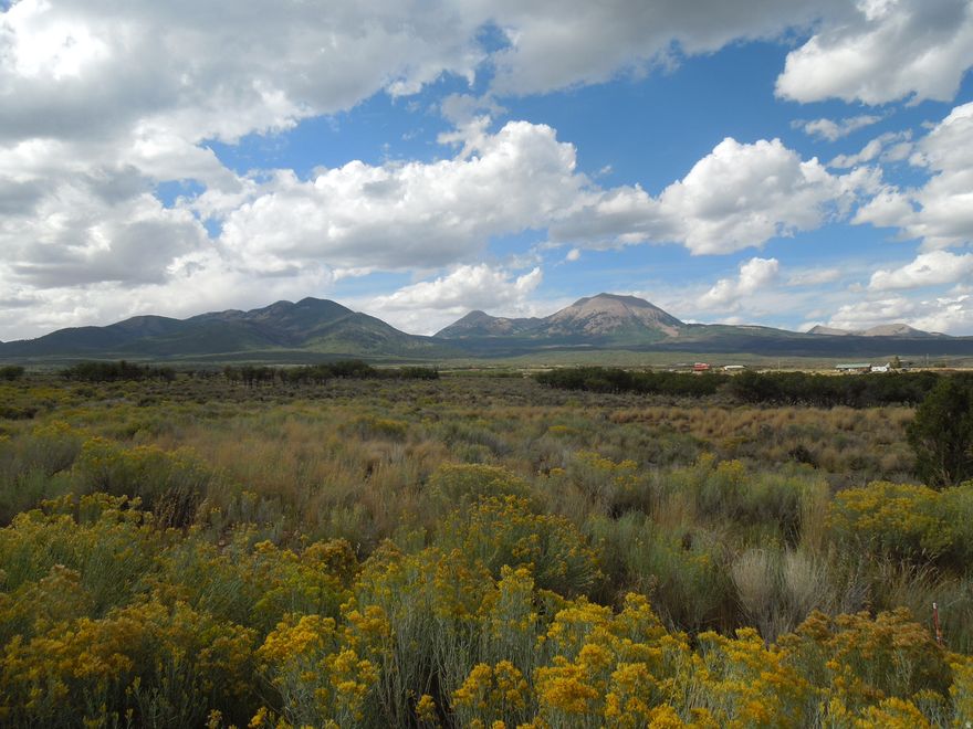Out at Old LaSal on the North side of Hwy. 46. Lovely views of LaSal Mt. peaks and to the East San Juan Mts. in Colorado, and Pine Ridge to the South. Great recreational access for biking, hunting and 4 wheeling. You'll need to drill a well and install a septic system. Underground power transformer pedestal at frontage.  Seller financing terms require 15 % down payment, with balance carried at 6 % interest for a period of up to 15 years. Sellers are related to Listing Agent.