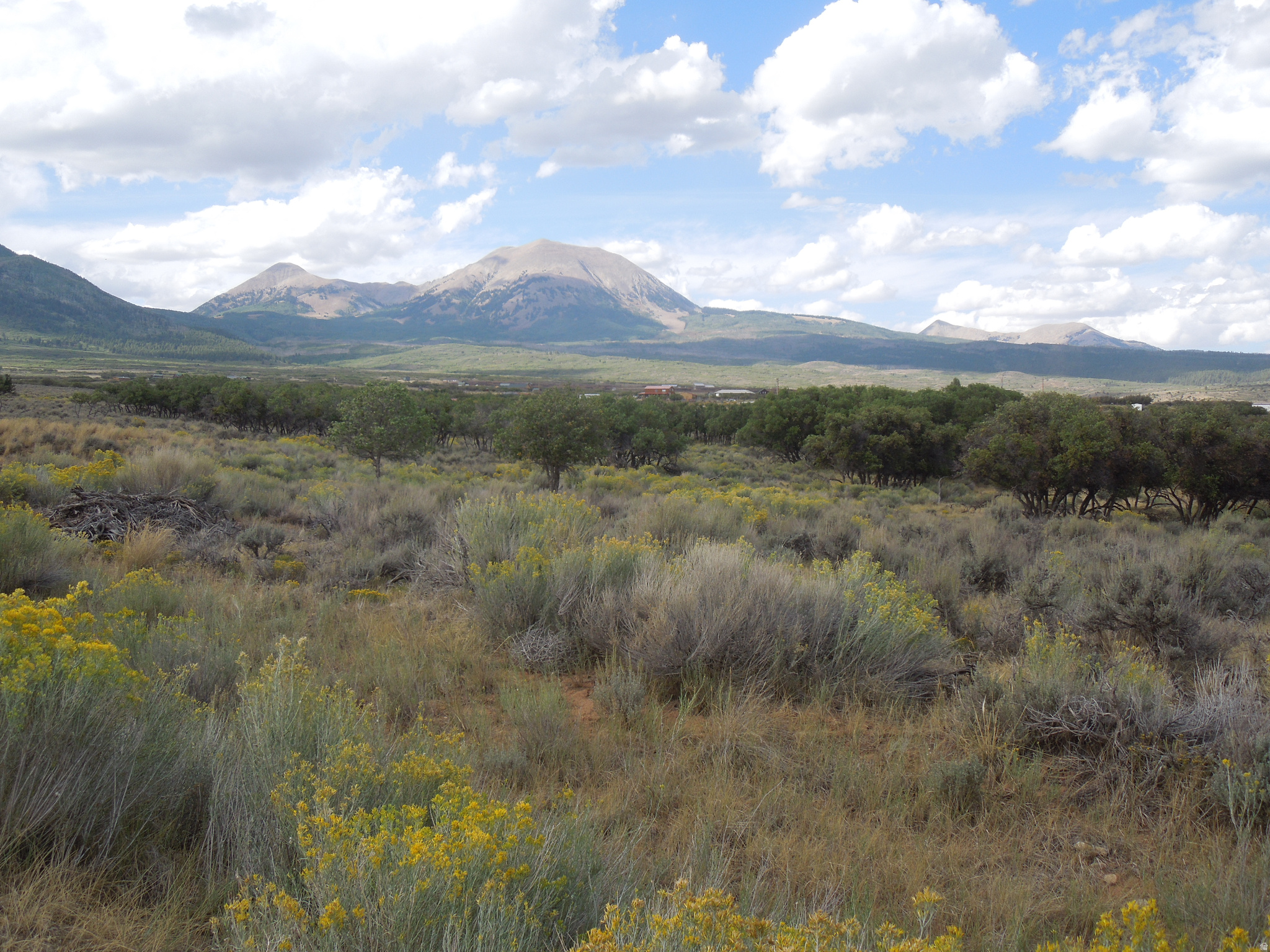 SPRING DRAW SUBDIVISION PHASE 2 - Land