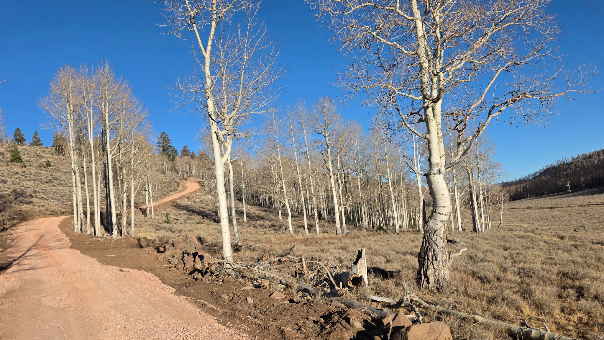 HENRIES HOLLOW - Land