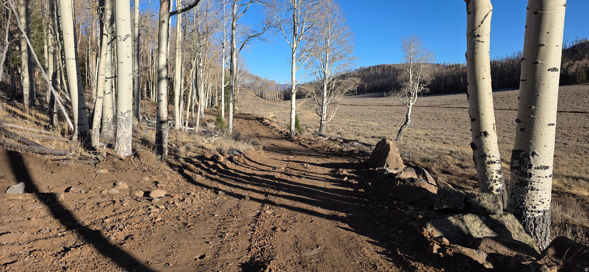 HENRIES HOLLOW - Land