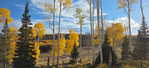 Vacant Land For Sale - #10<br/> Sevier County, Annabella, UT 84711