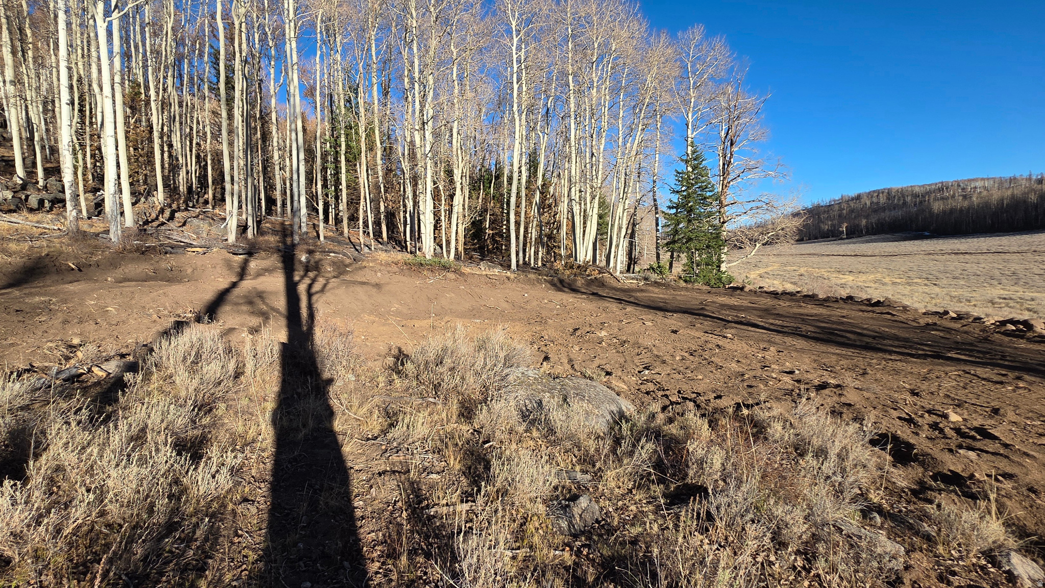 HENRIES HOLLOW - Land