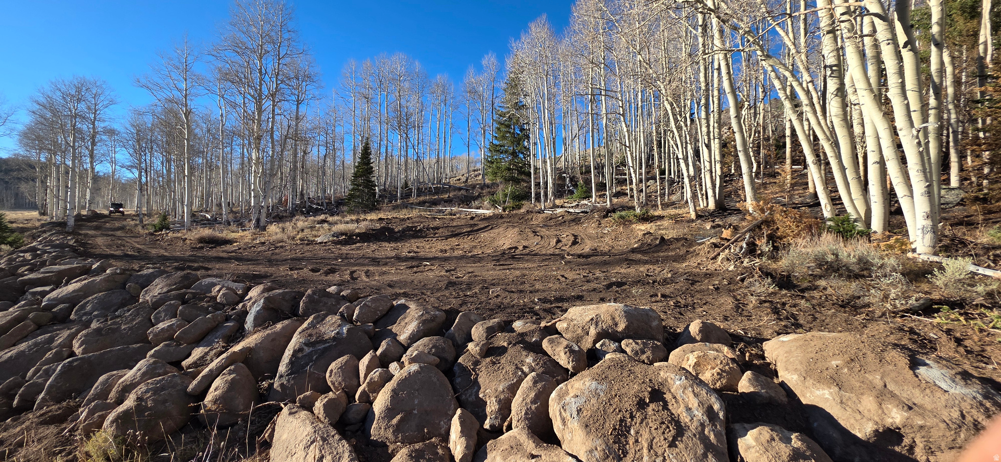 HENRIES HOLLOW - Land