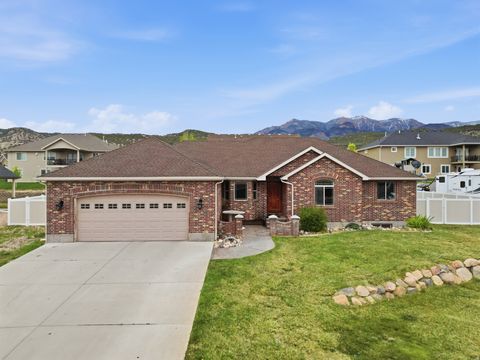 Homes For Sale - 1341 S 200<br/> Juab County, Nephi, UT 84648