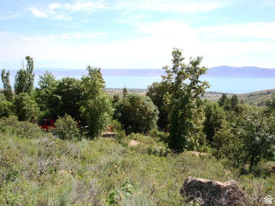 Breathtaking lot in Bridgerland Subdivision. This lot has mature trees, and amazing views of Bear Lake. Nice Gradual Slope to make for a prime building lot. Over a half a acre to enjoy the mountains and landscape. Ride your ATV's from here to the many miles of trails near by. Come drive by today!