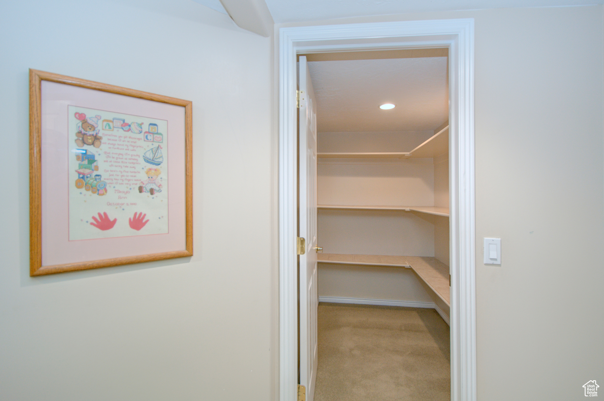 10039 S Bingham Miner Ct, South Jordan, Utah image 32