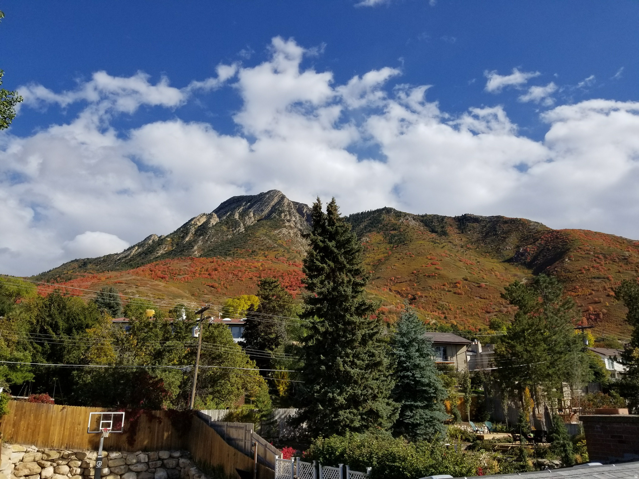 OAKCLIFF PARK - Residential