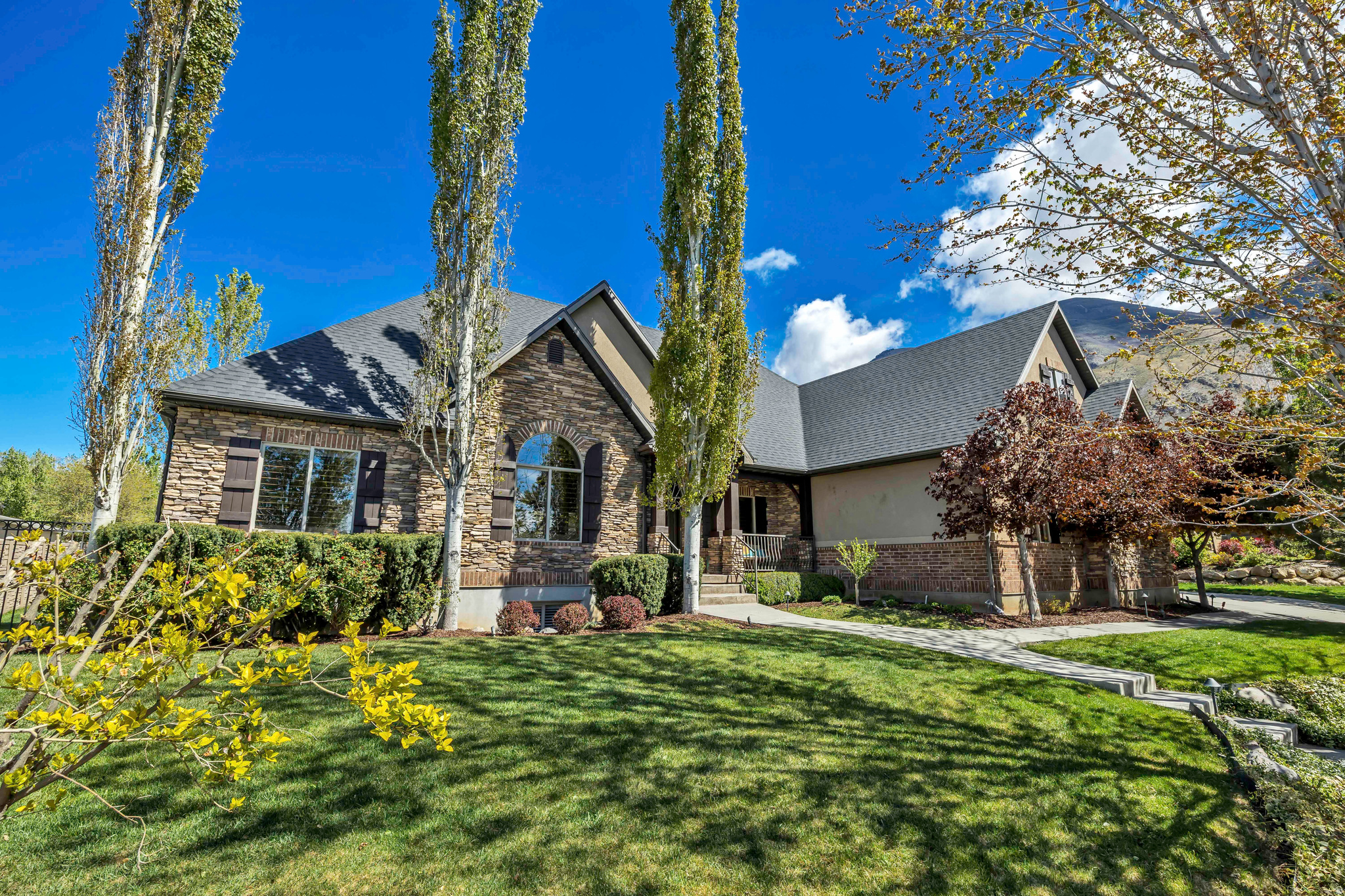 SHADY MEADOWS - Residential