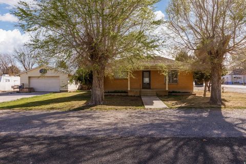 Homes For Sale - 97 S 100<br/> Sevier County, Redmond, UT 84652