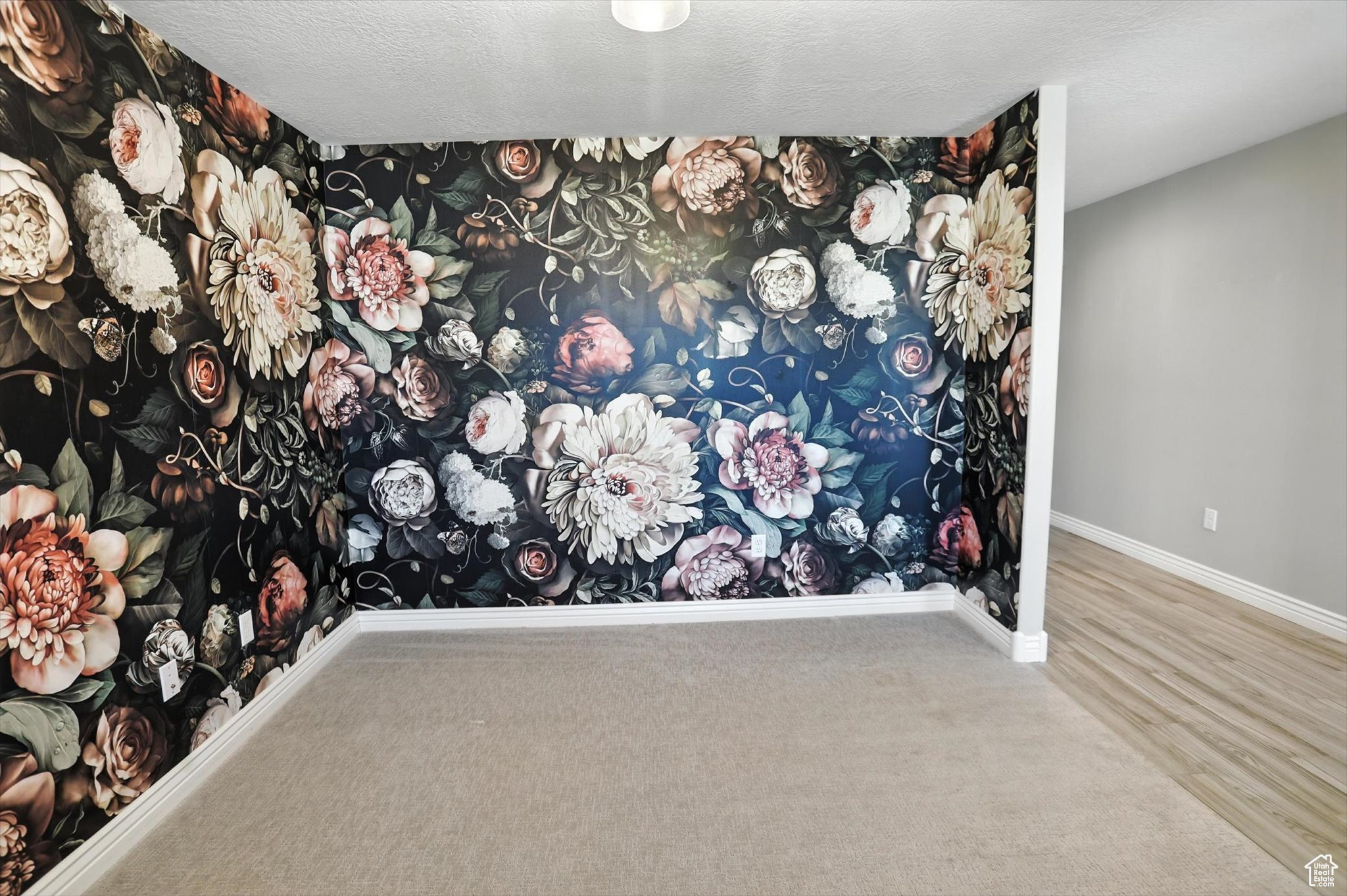 ORCHARD RIDGE ESTATES - Residential