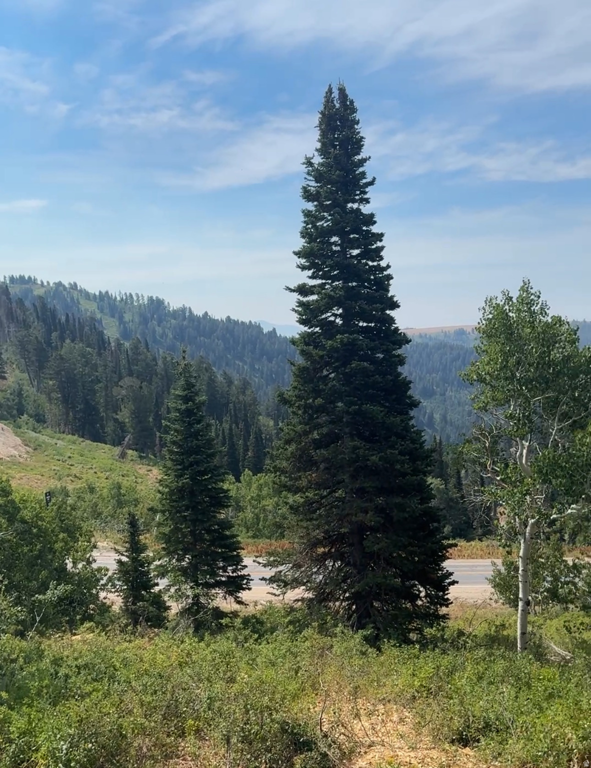 POWDER MOUNTAIN WEST - Land