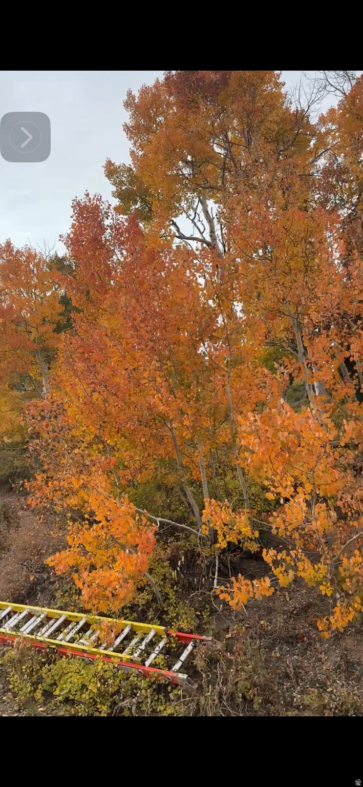 POWDER MOUNTAIN WEST - Land
