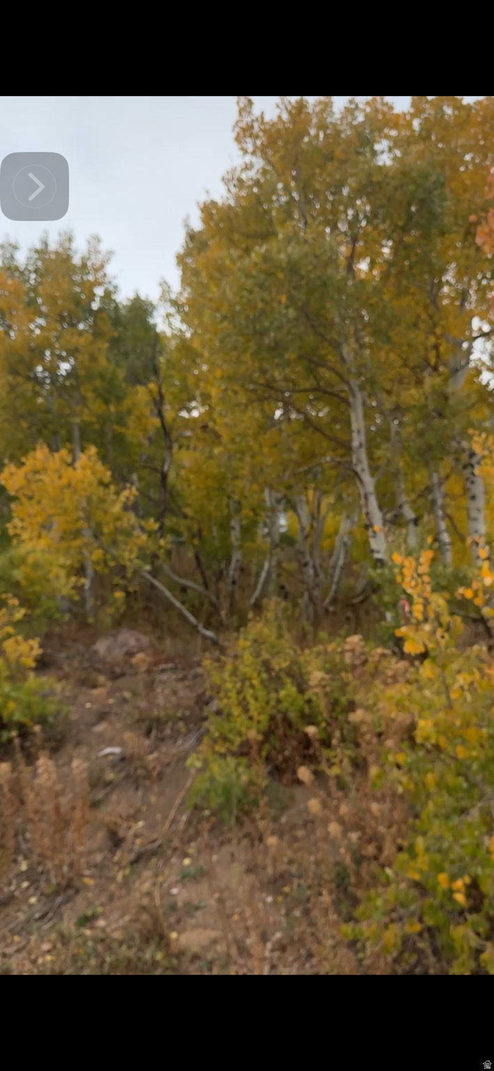 POWDER MOUNTAIN WEST - Land