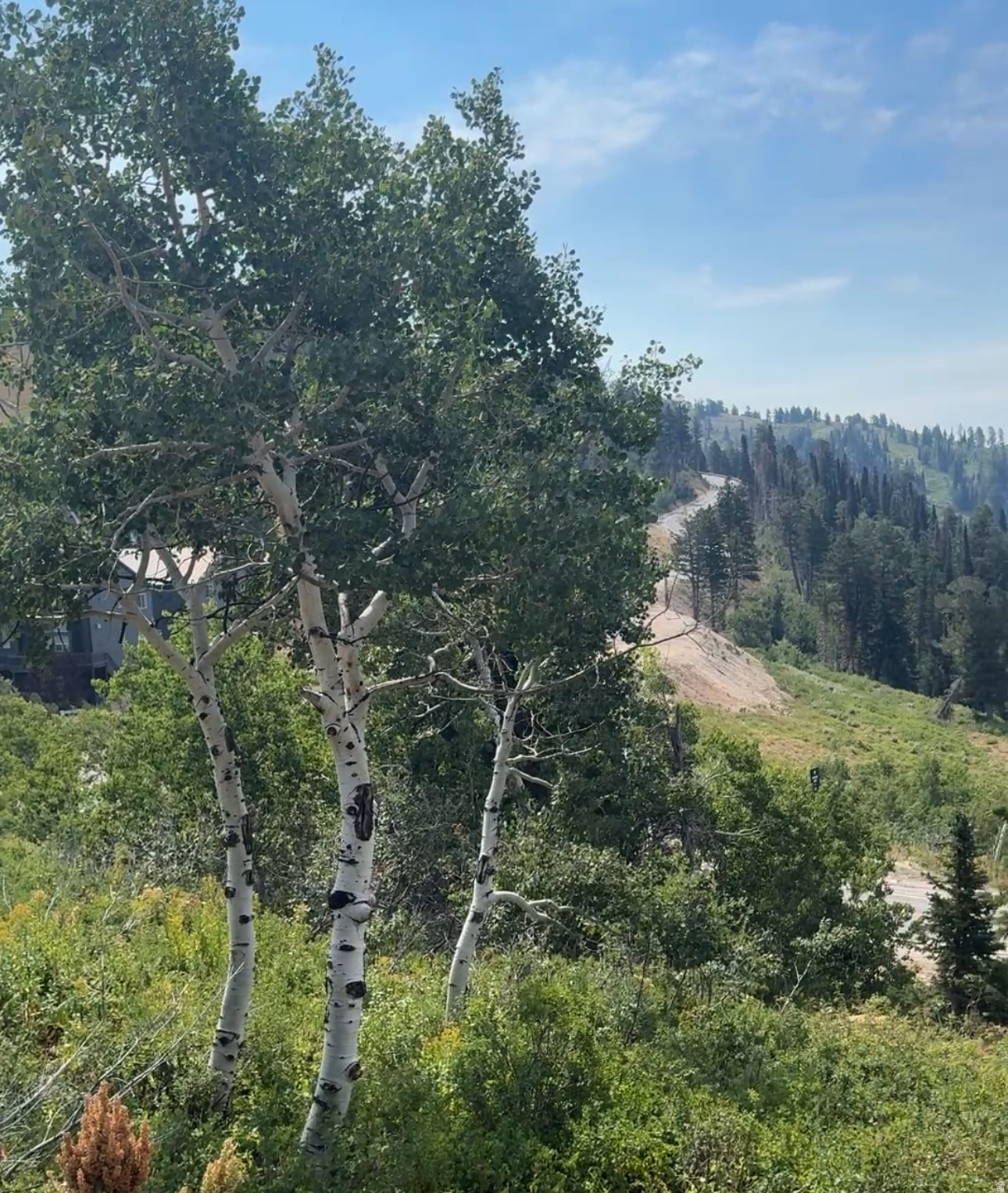 POWDER MOUNTAIN WEST - Land