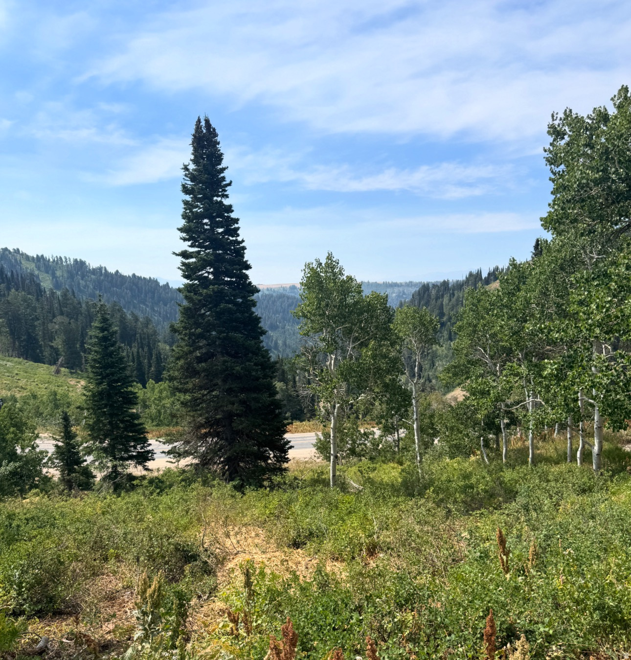 POWDER MOUNTAIN WEST - Land