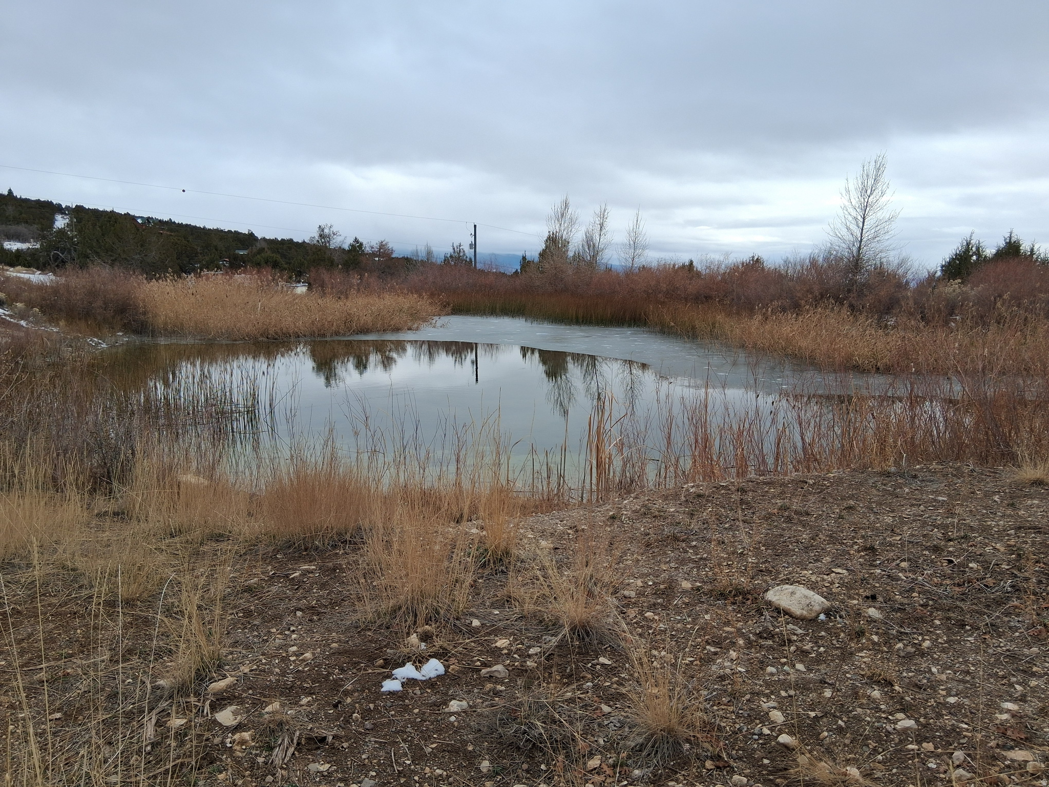 SKYLINE MOUNTAIN RESORT - Residential