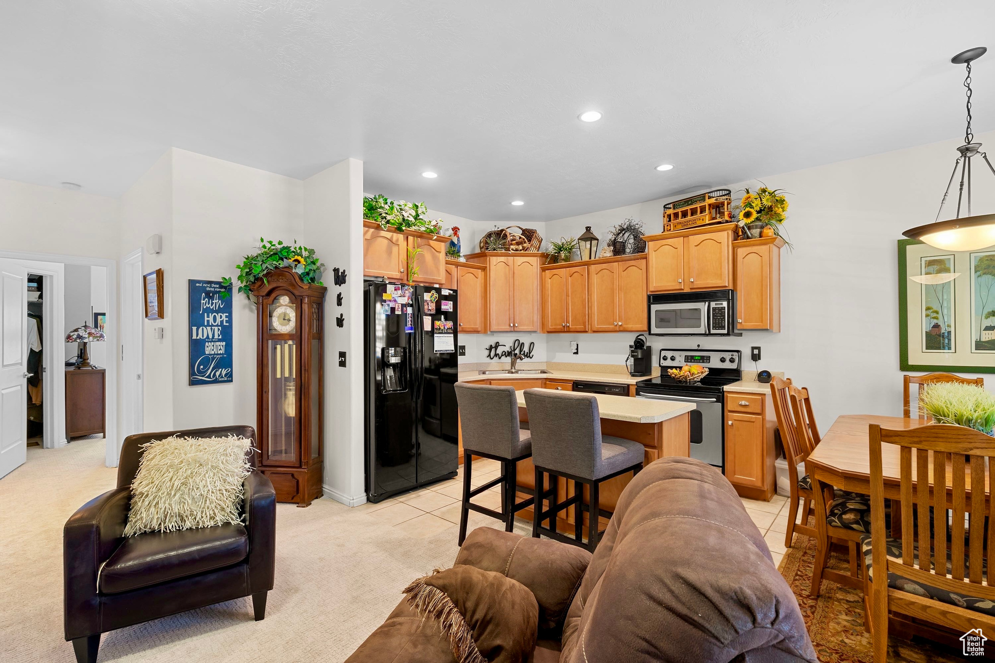 CHANDLER POINTE - Residential