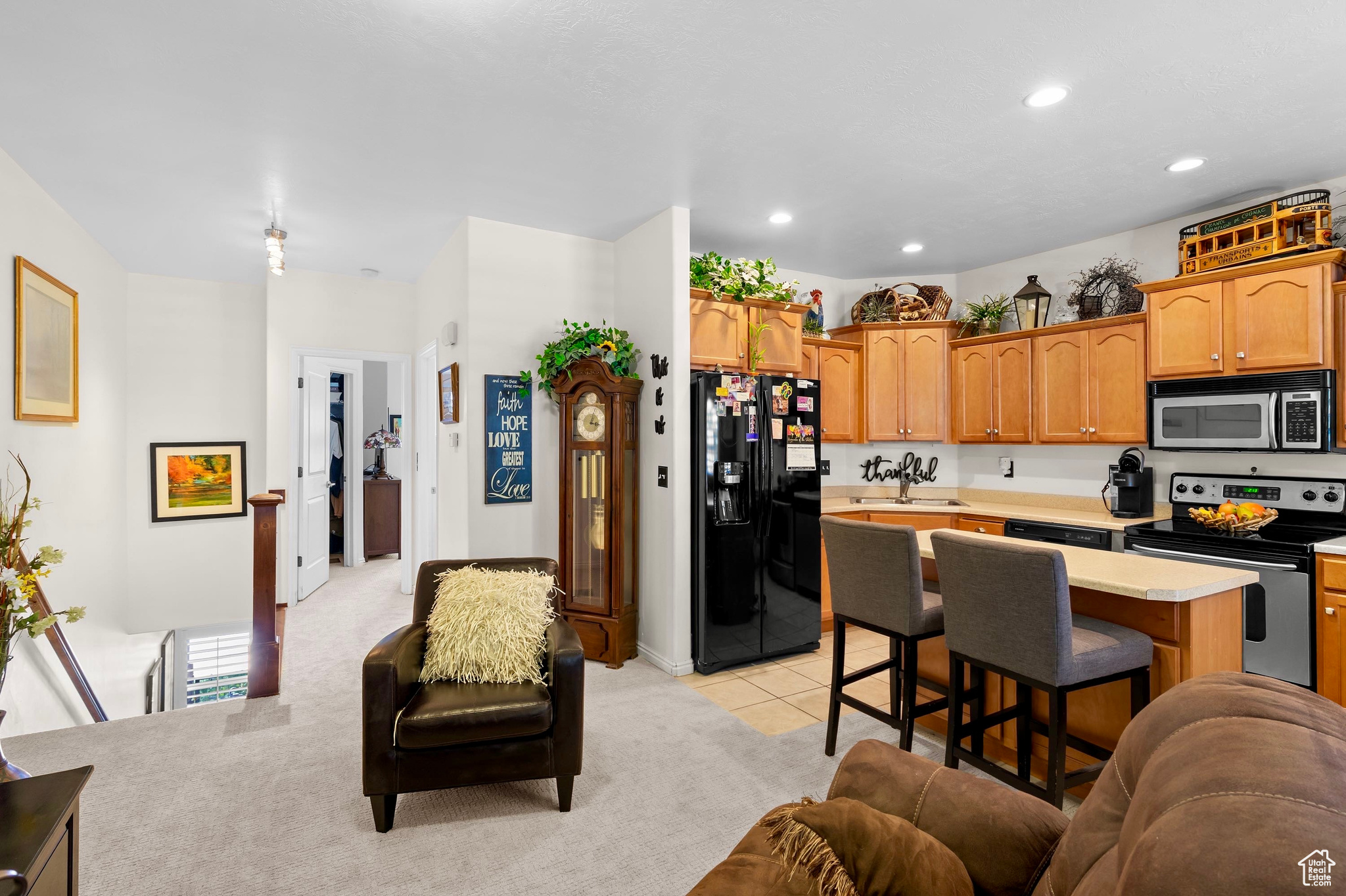 CHANDLER POINTE - Residential