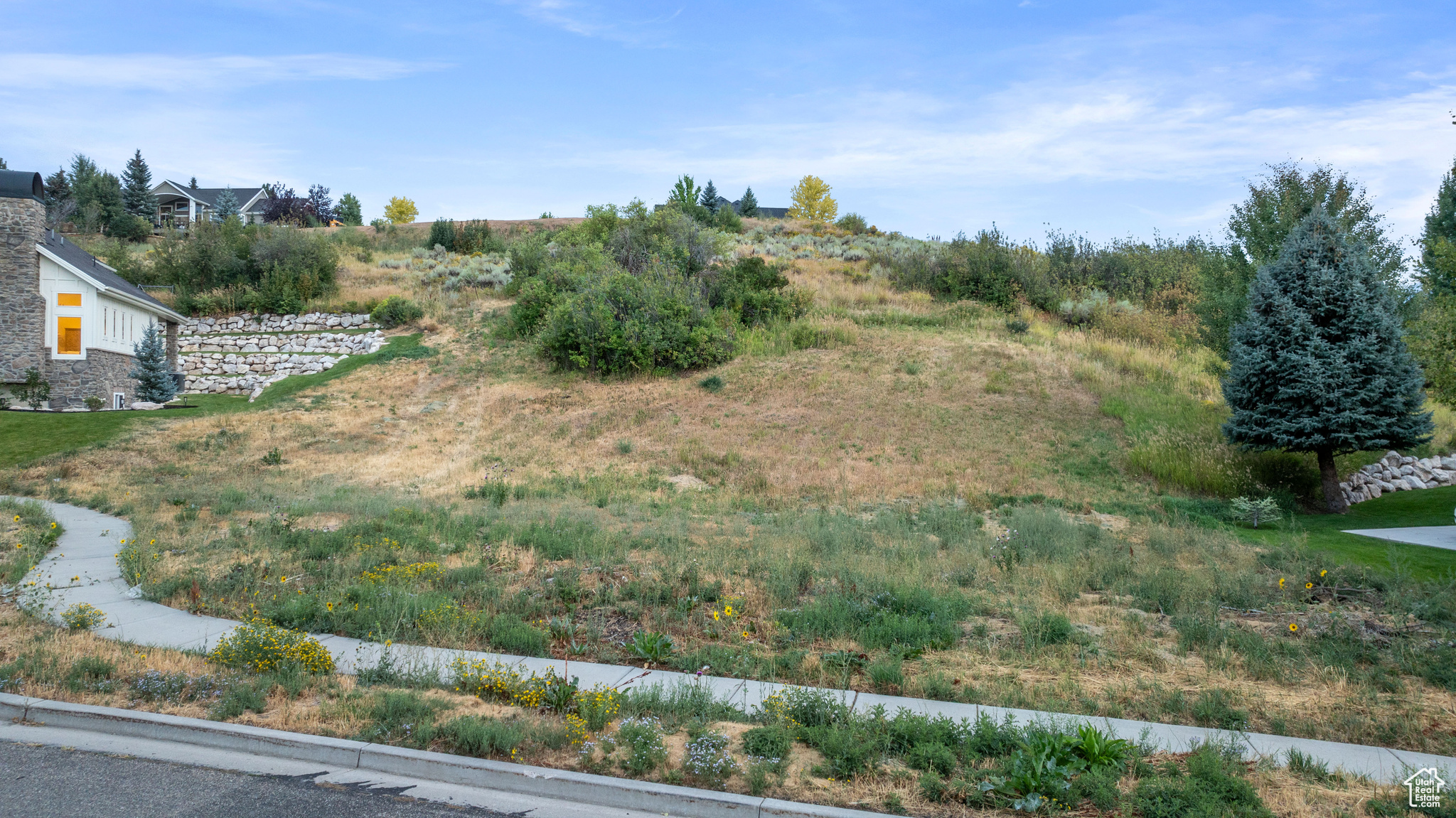 COTTONWOOD HILLS - Land