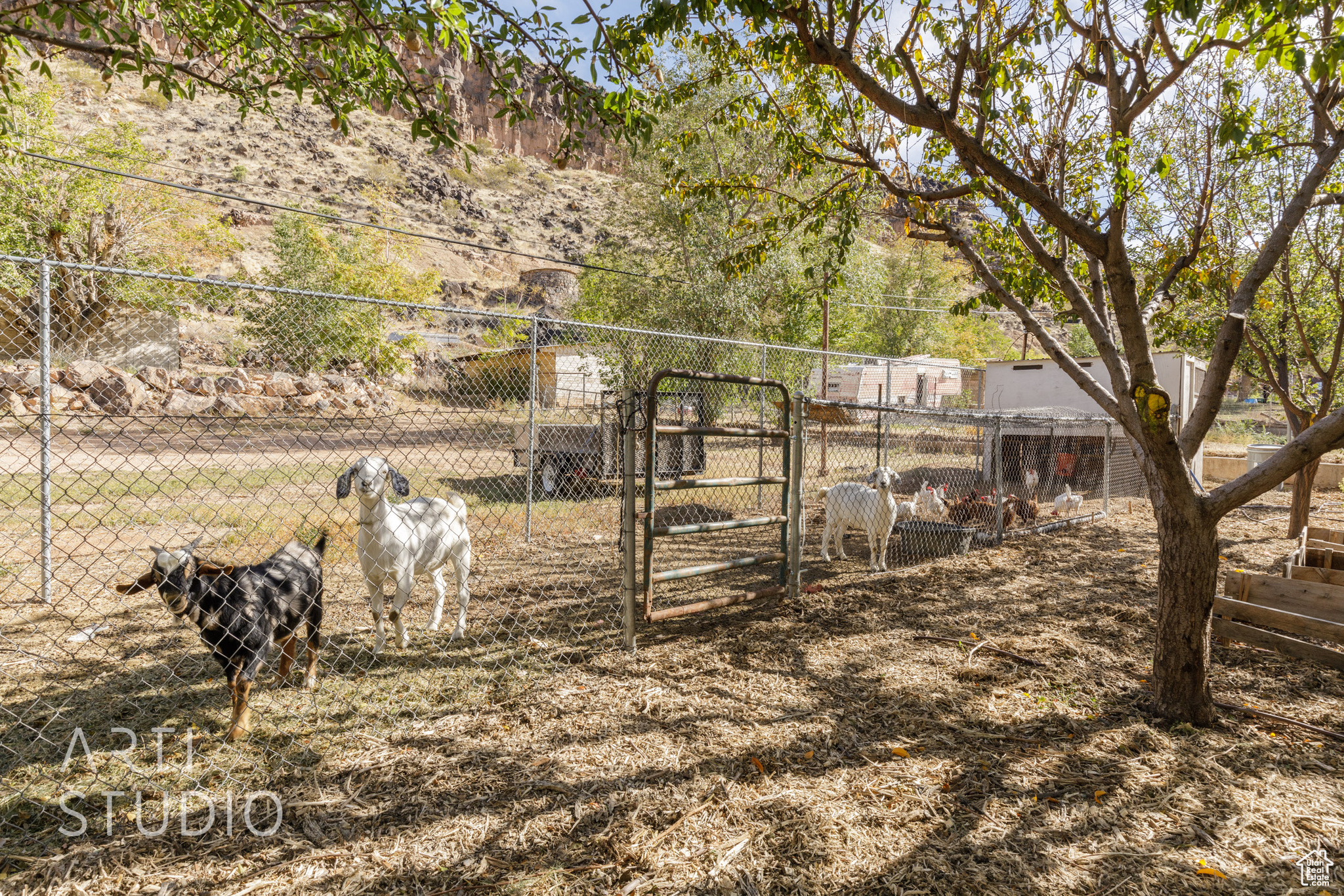 133 S 100, Hurricane, Utah image 42