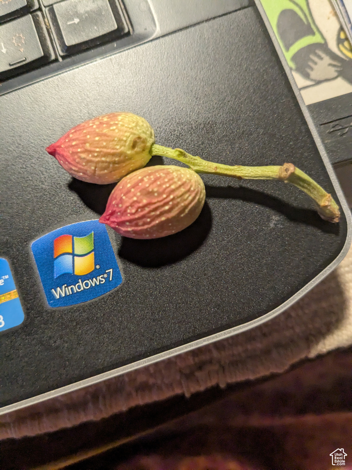 CASTLE VALLEY RIVER RANCHOS - Residential