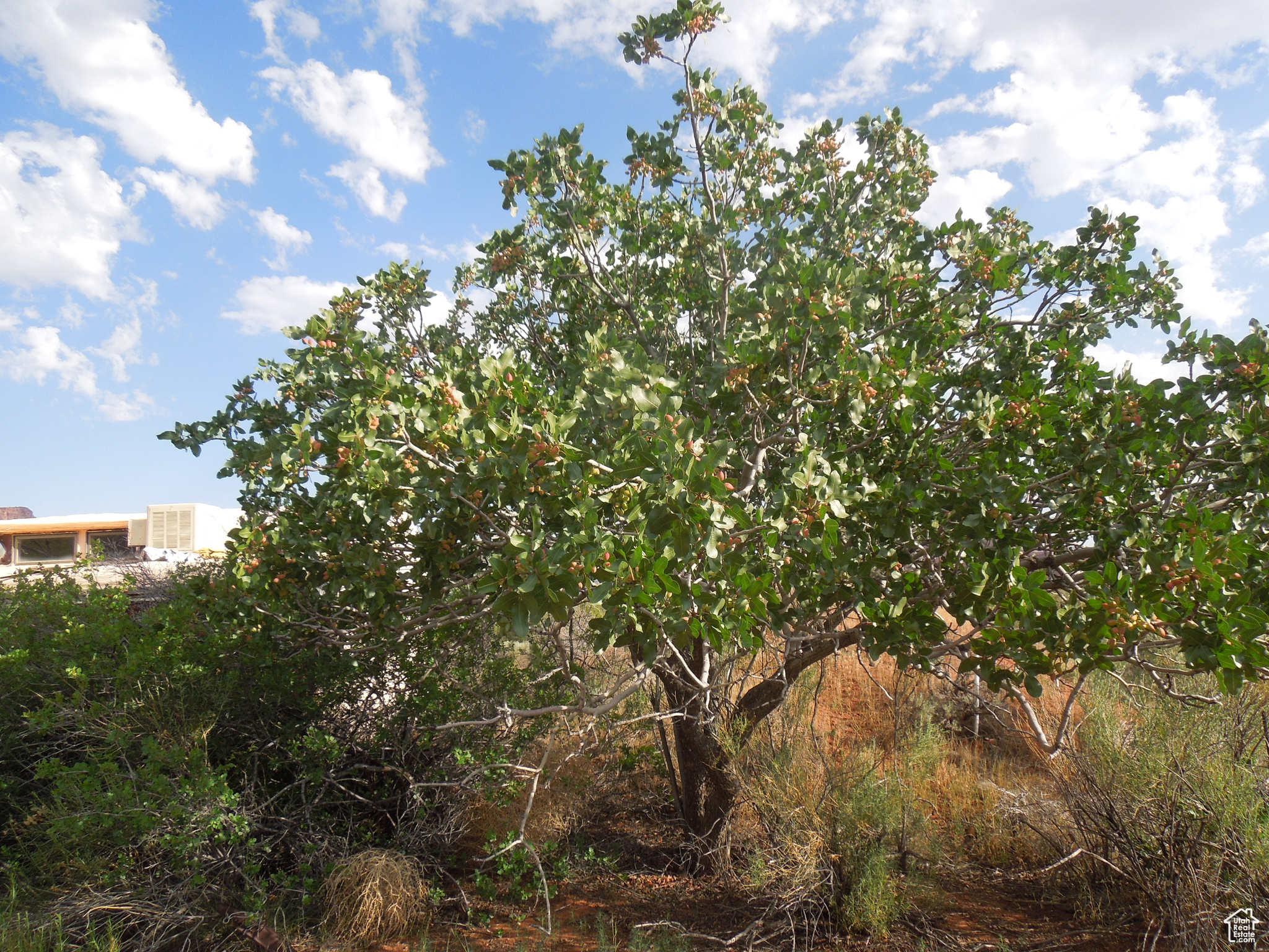 CASTLE VALLEY RIVER RANCHOS - Residential