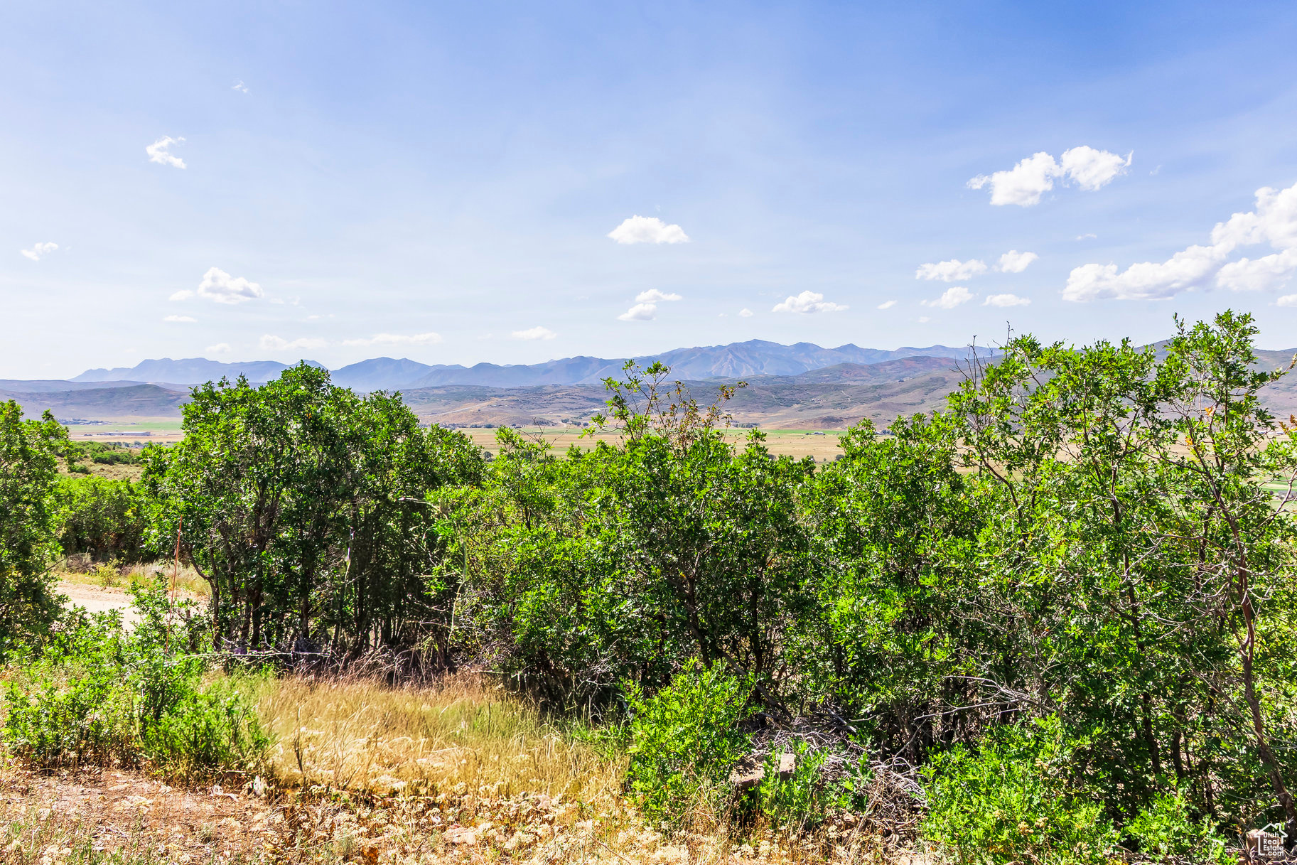 KAMAS EAST - Land