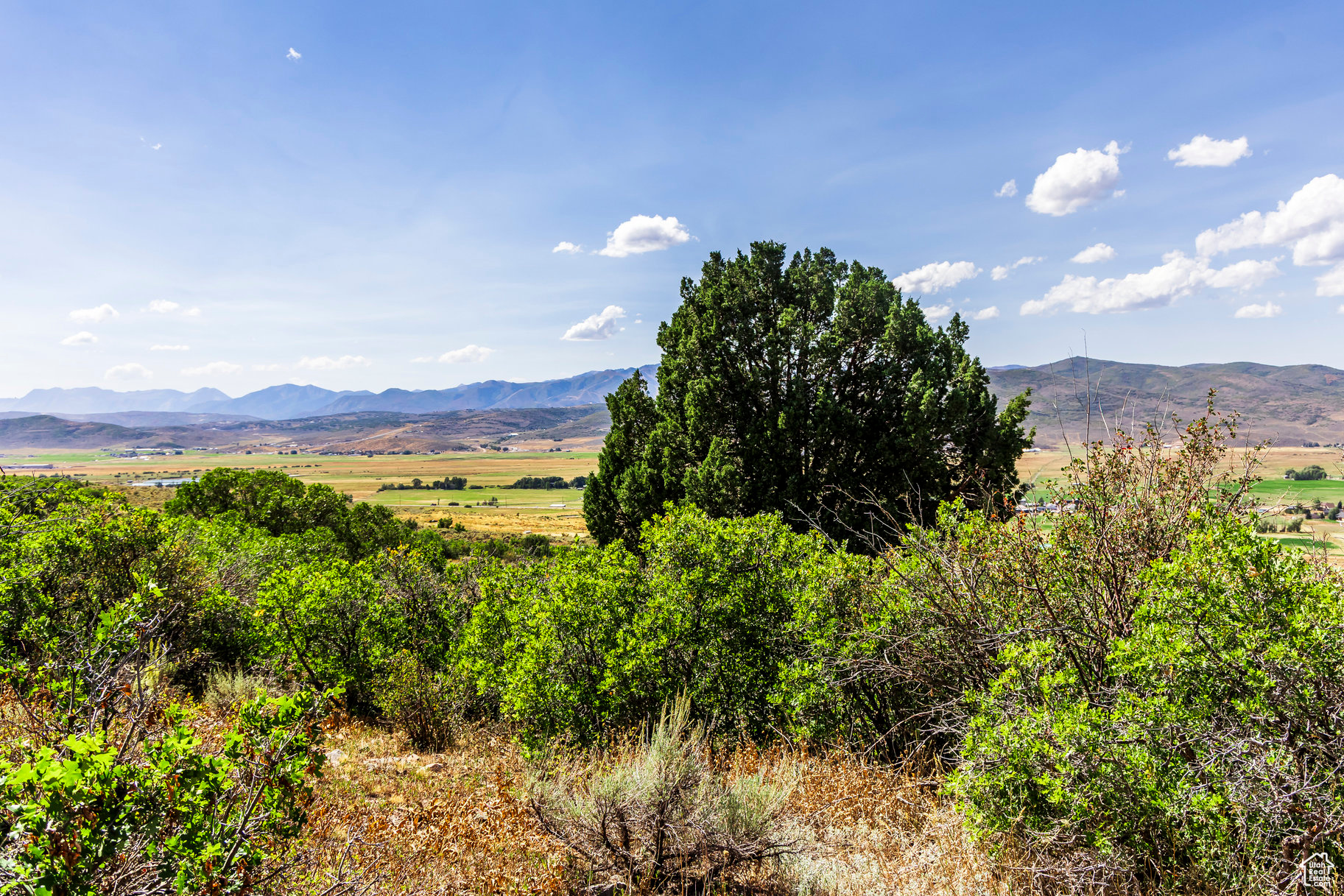 KAMAS EAST - Land