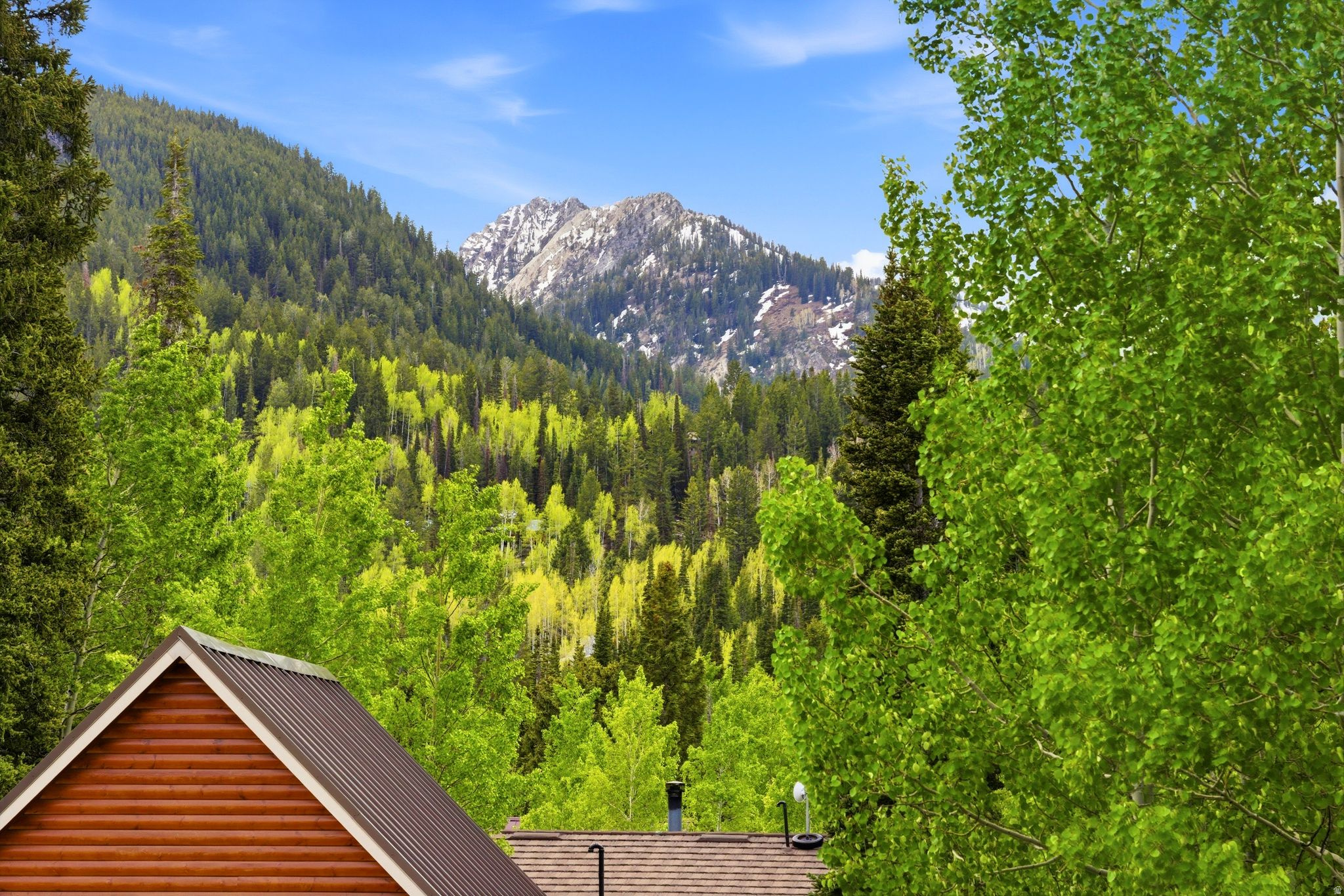 SILVER FORK - Residential