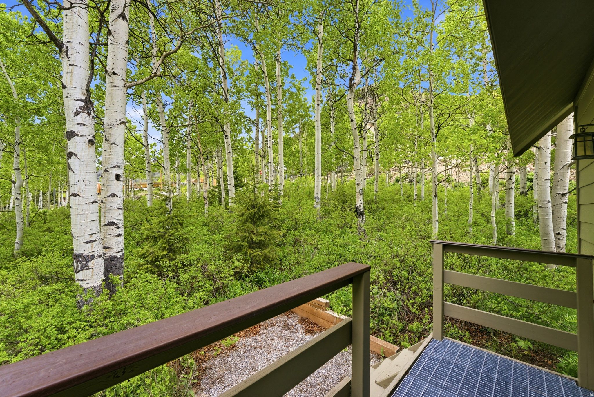 SILVER FORK - Residential