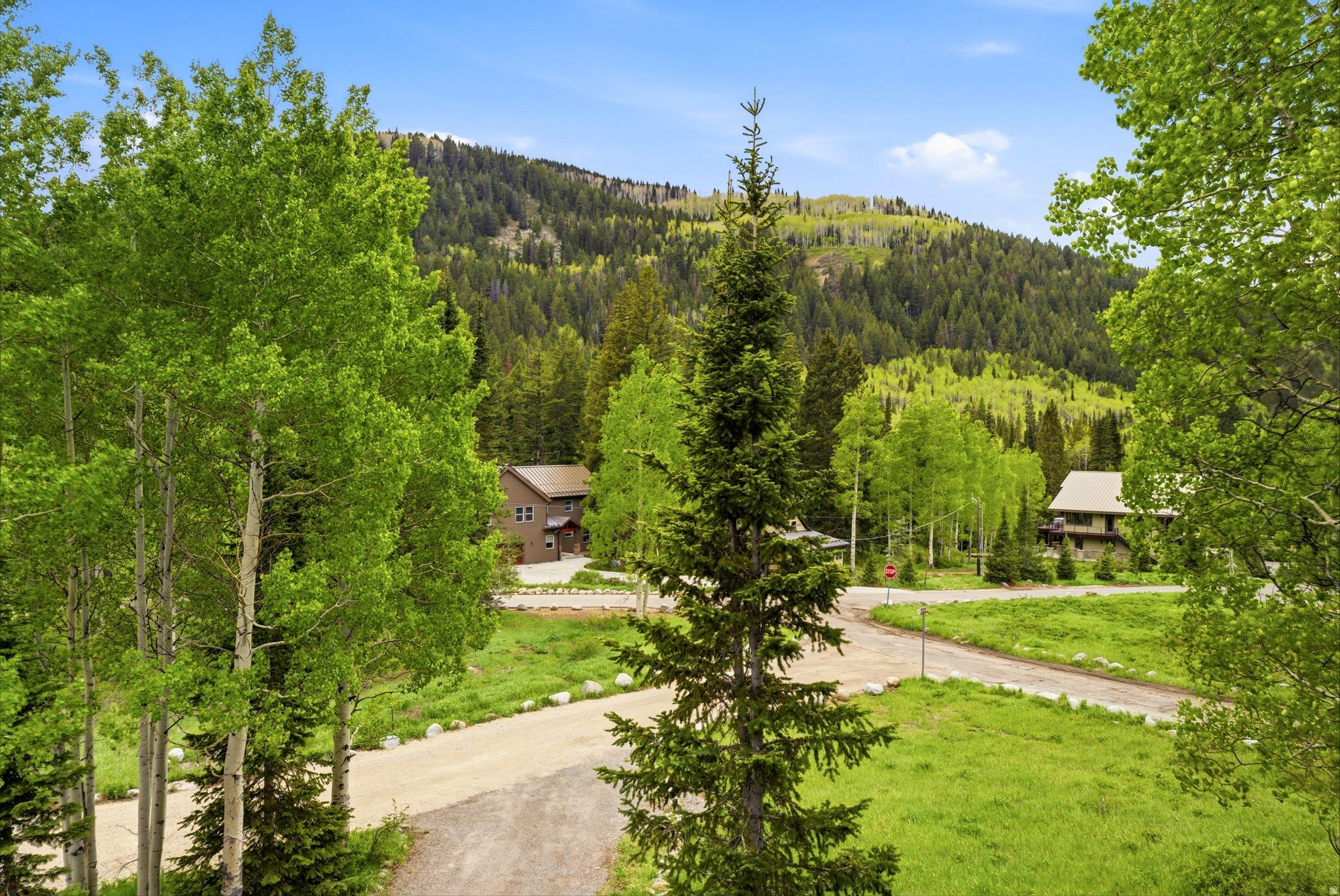 SILVER FORK - Residential