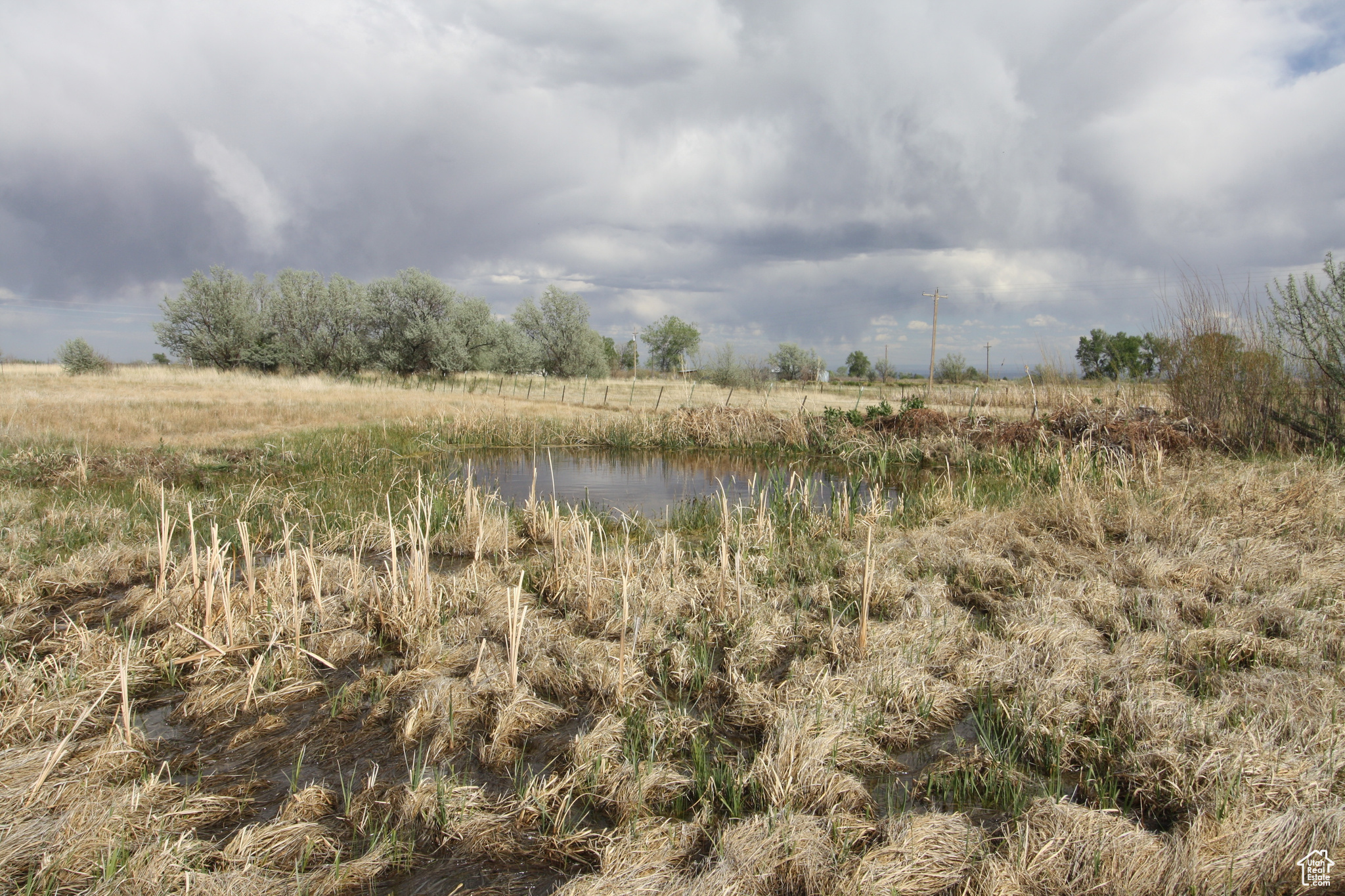 9765 N Uintah Canyon Hwy, Neola, Utah image 40