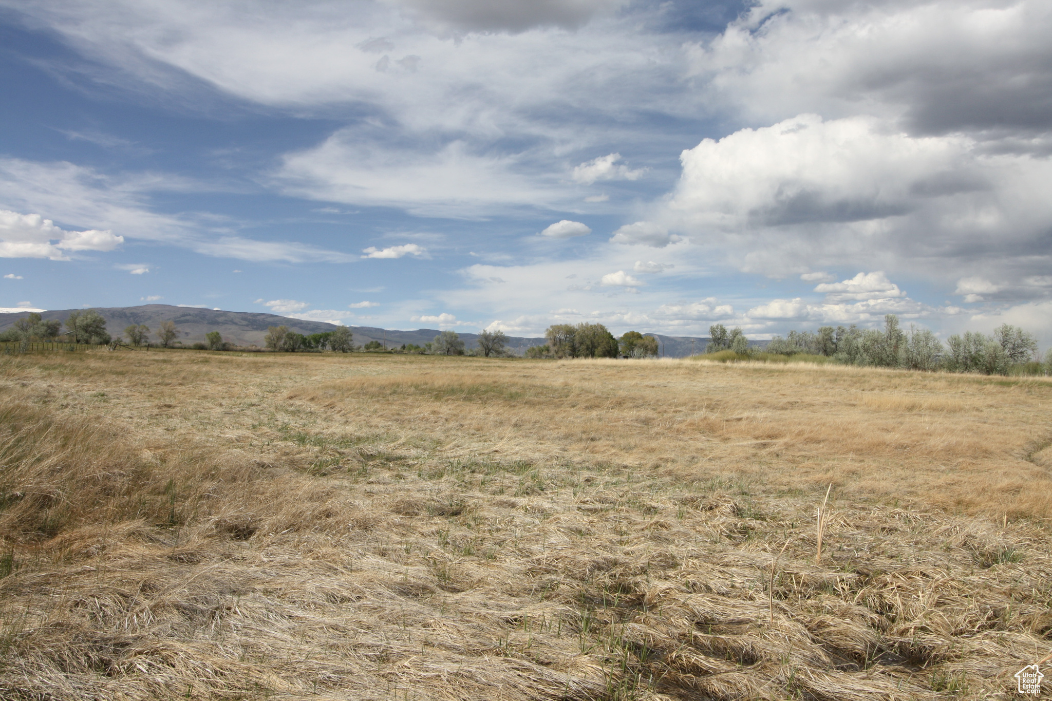 9765 N Uintah Canyon Hwy, Neola, Utah image 43