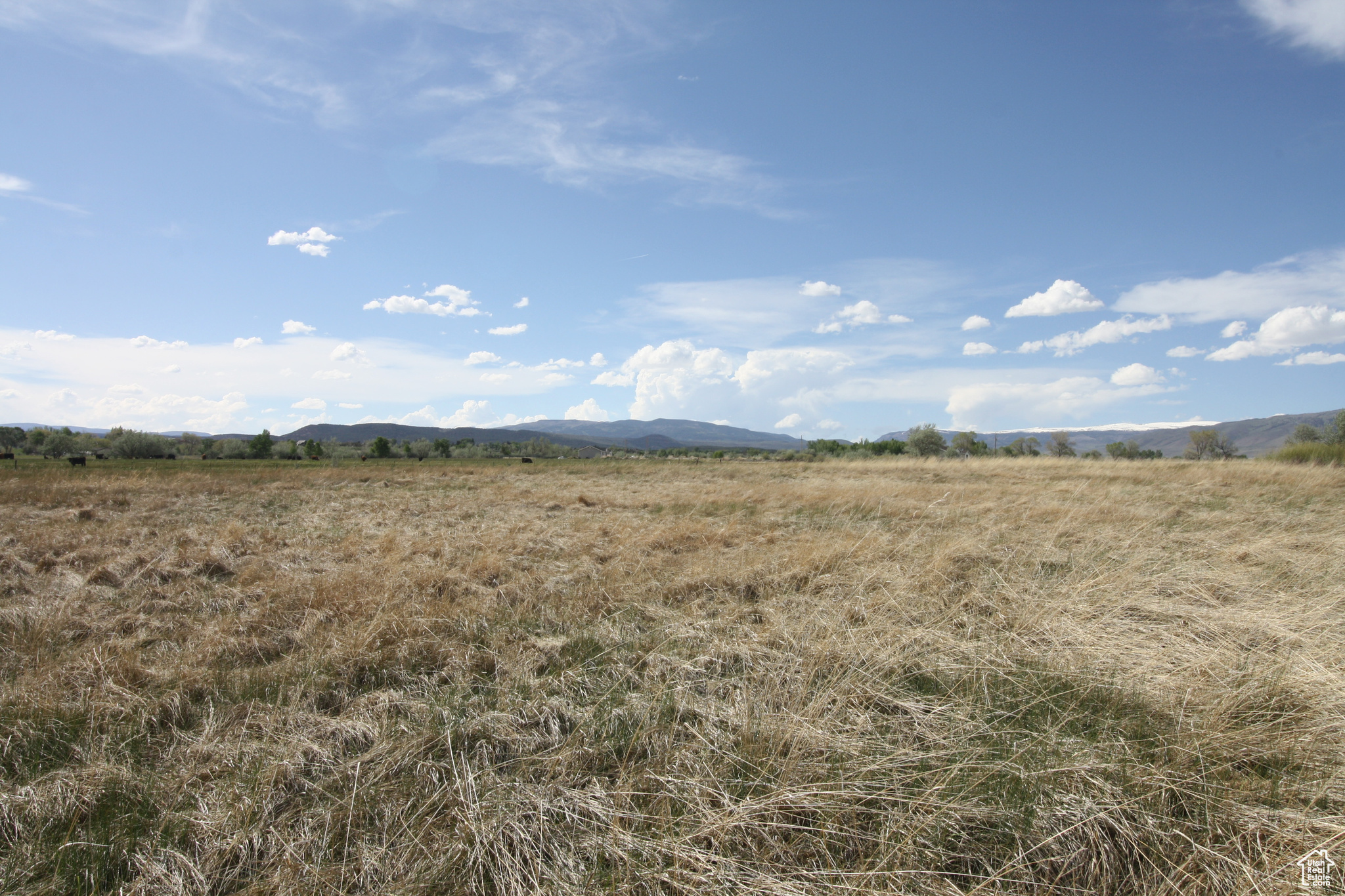 9765 N Uintah Canyon Hwy, Neola, Utah image 50