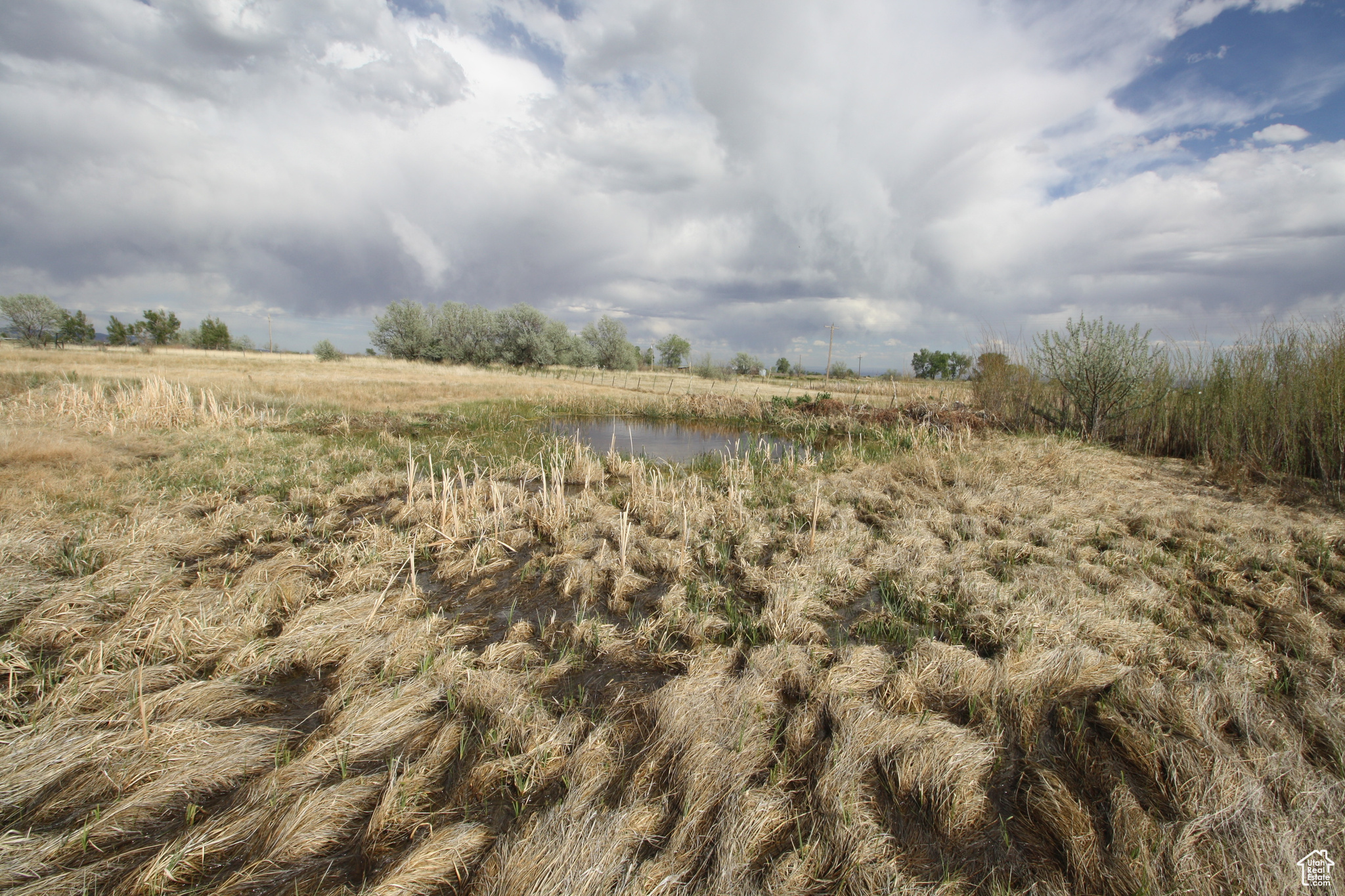 9765 N Uintah Canyon Hwy, Neola, Utah image 39