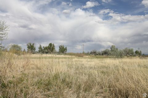 Vacant Land For Sale - 9765 N Uintah Canyon Hwy<br/> Neola, UT 84053