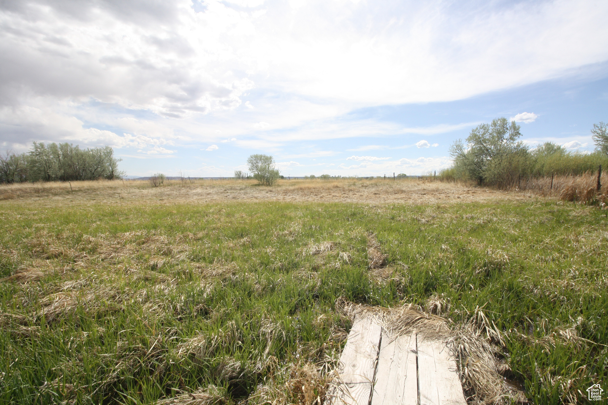 9765 N Uintah Canyon Hwy, Neola, Utah image 10