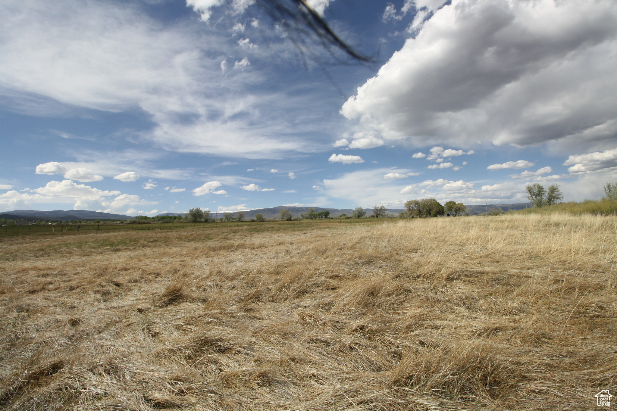 9765 N Uintah Canyon Hwy, Neola, Utah image 25