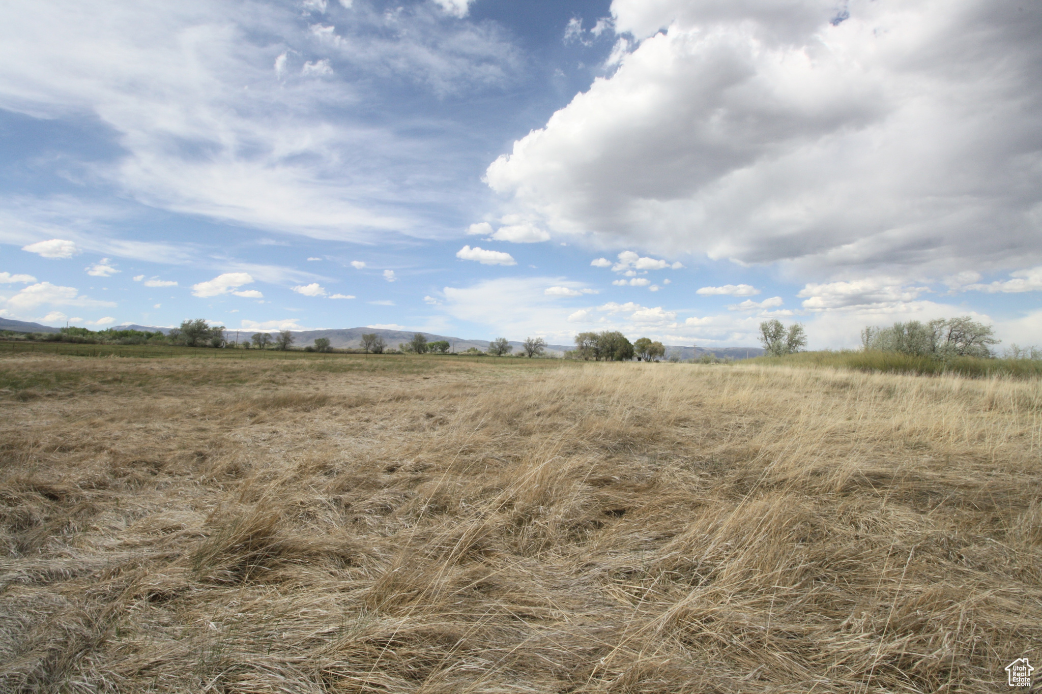 9765 N Uintah Canyon Hwy, Neola, Utah image 29