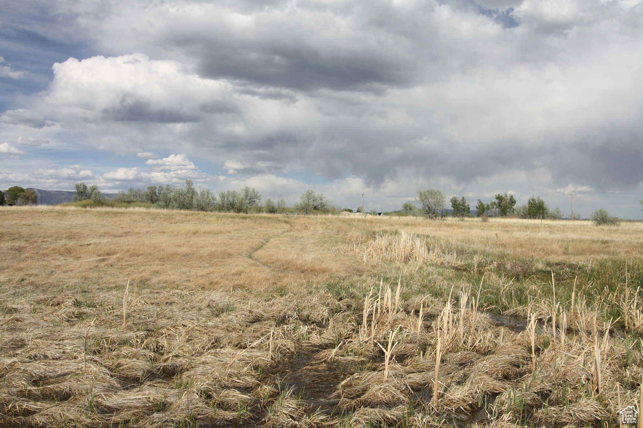 9765 N Uintah Canyon Hwy, Neola, Utah image 42