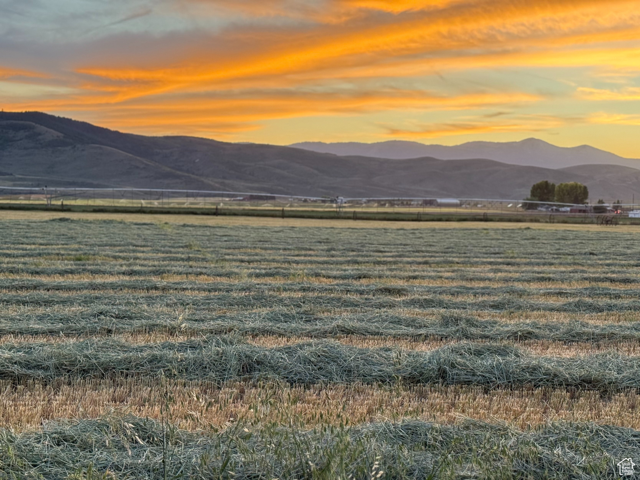 BALD MOUNTAIN ESTATE - Land