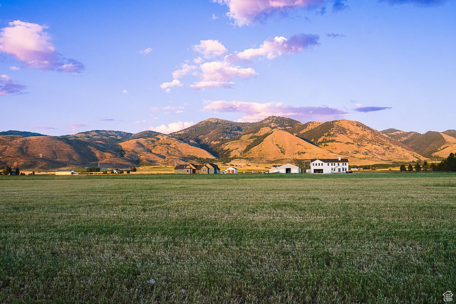 BALD MOUNTAIN ESTATE - Land
