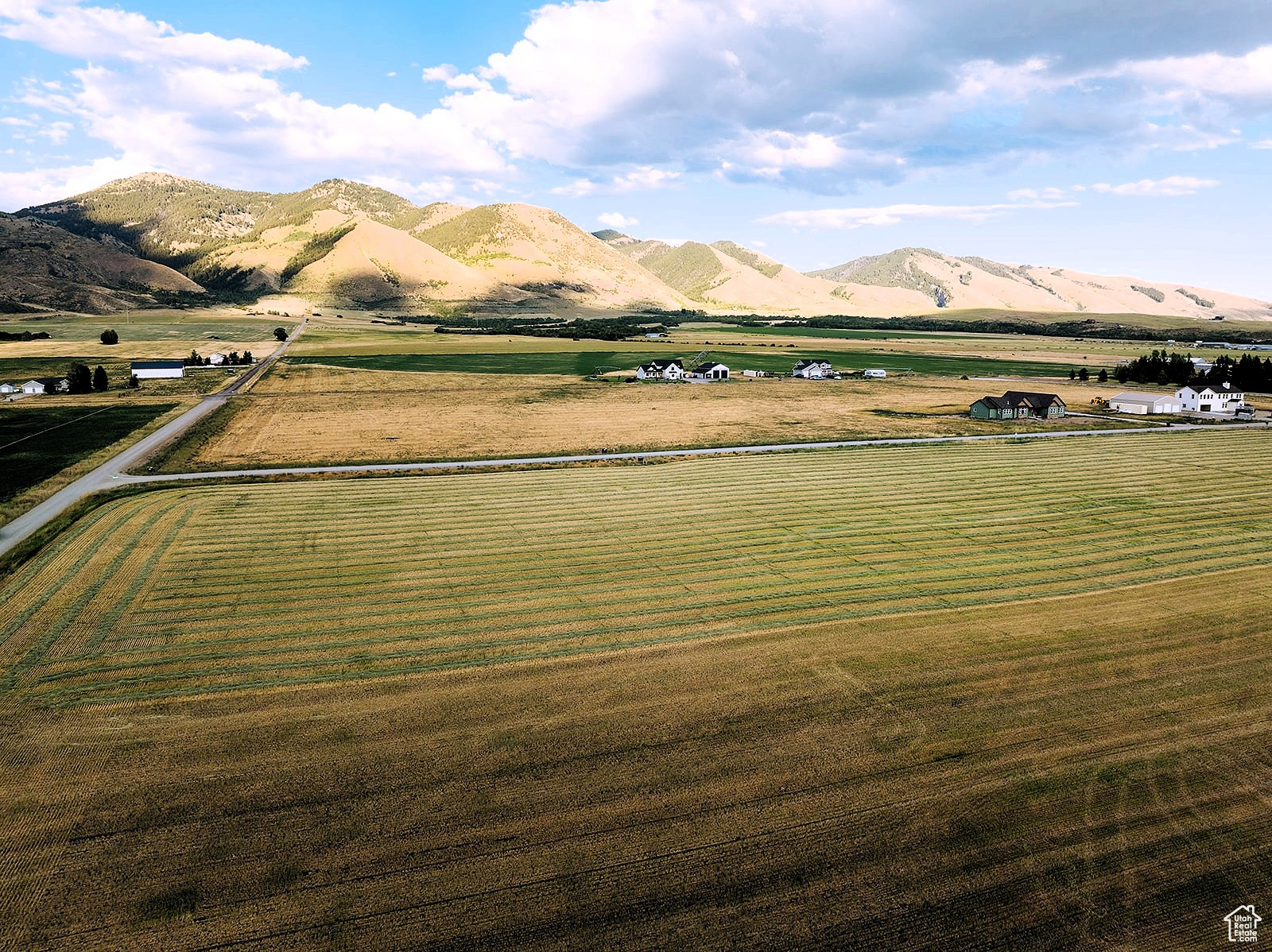 BALD MOUNTAIN ESTATE - Land