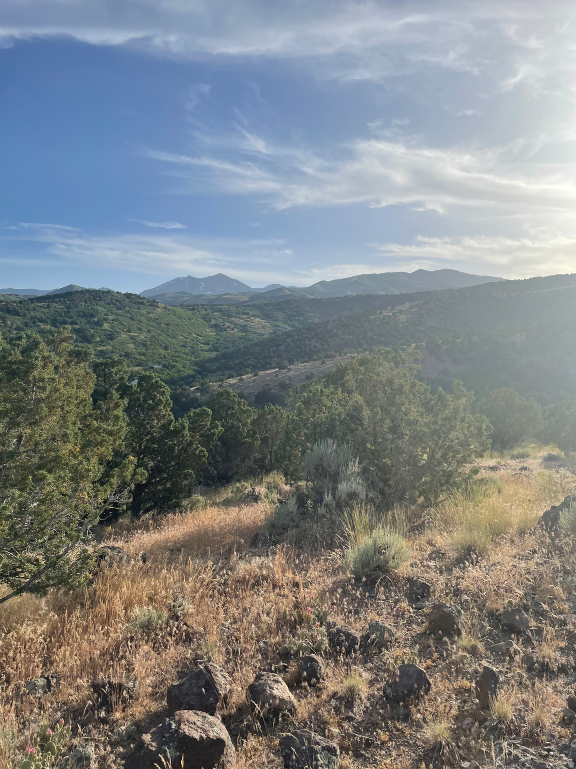 HIGH COUNTRY 2 - Land