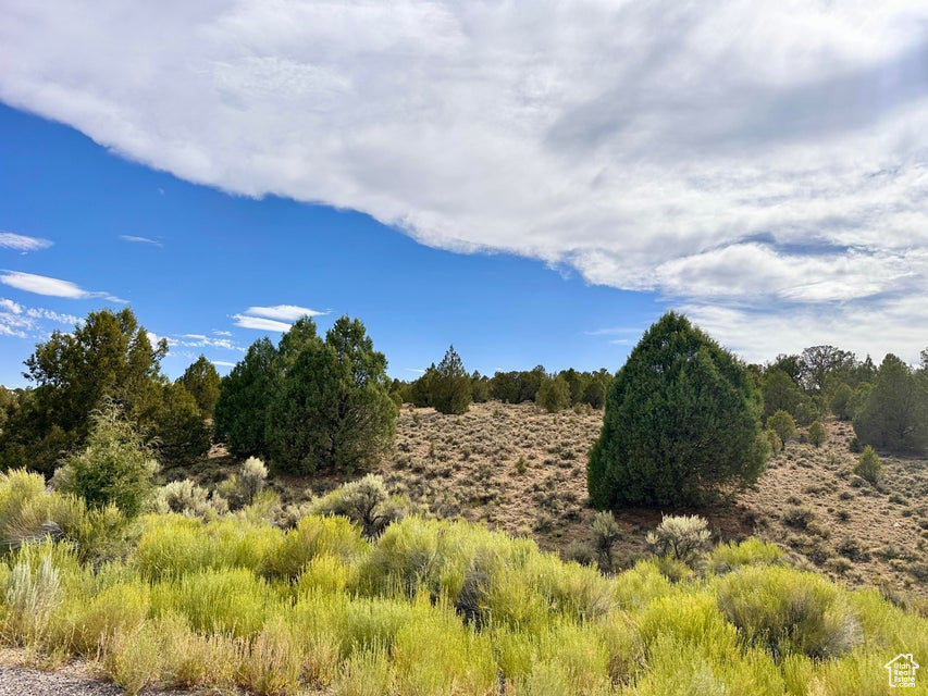 PAUNSAUGUNT CLIFFS SUBDIVISION - Land