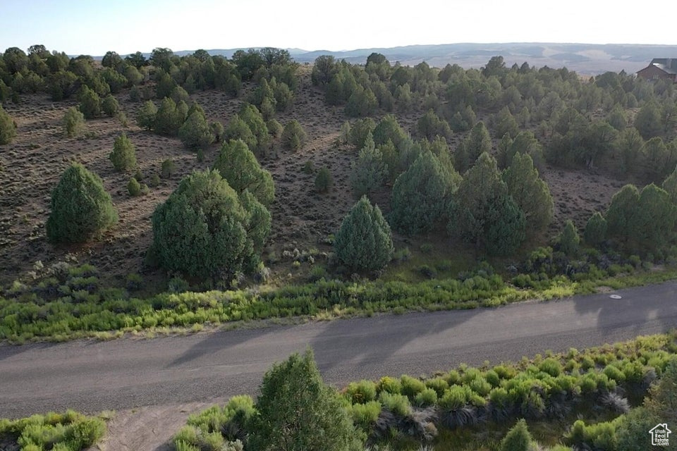 PAUNSAUGUNT CLIFFS SUBDIVISION - Land