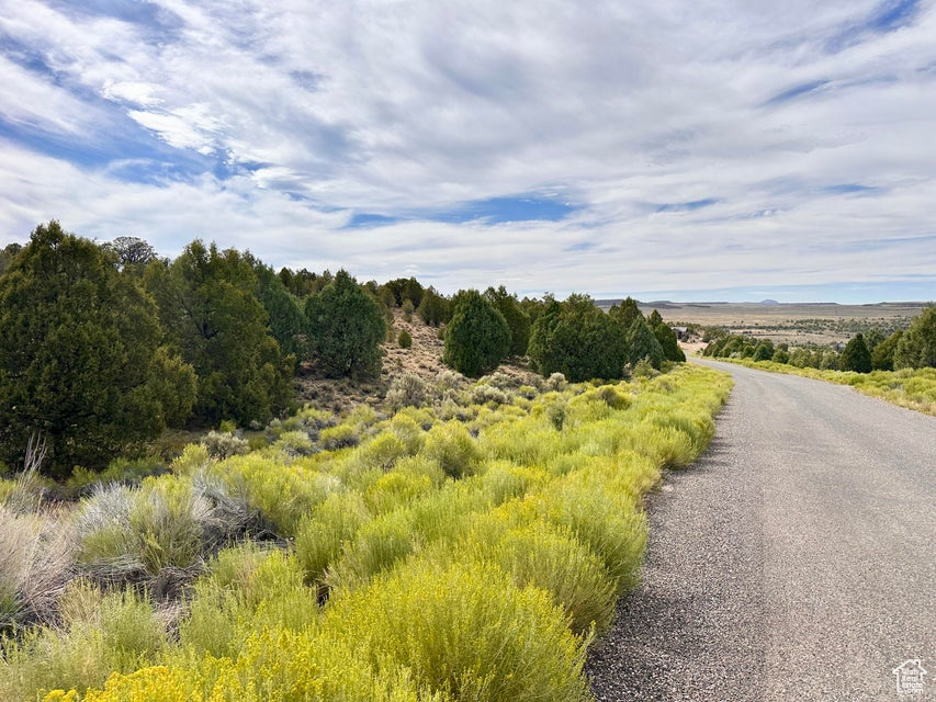 PAUNSAUGUNT CLIFFS SUBDIVISION - Land