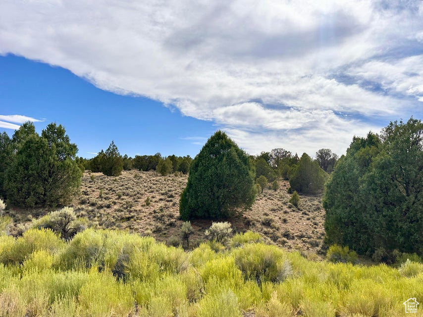 PAUNSAUGUNT CLIFFS SUBDIVISION - Land